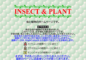 INSECT & PLANT（虫と植物）